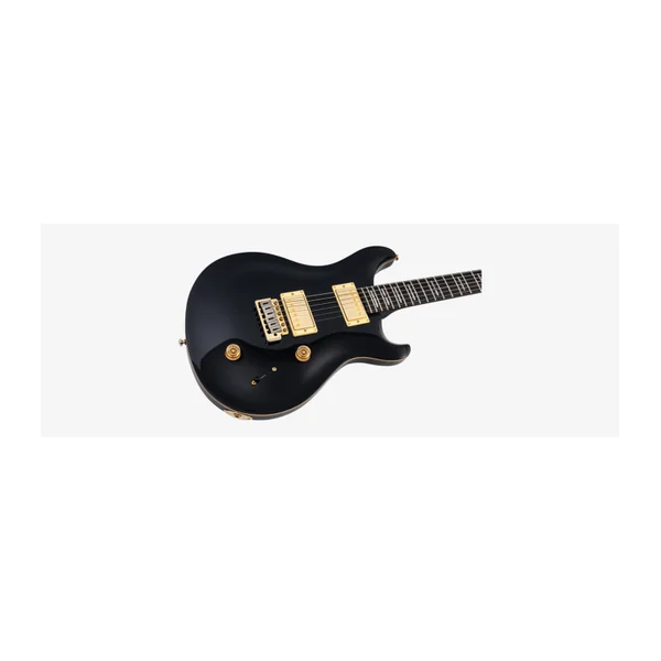 Guitare Electrique LARRY CARLTON Q7 BK