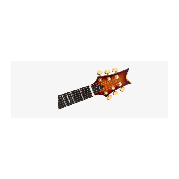 Guitare Electrique LARRY CARLTON Q7 TS