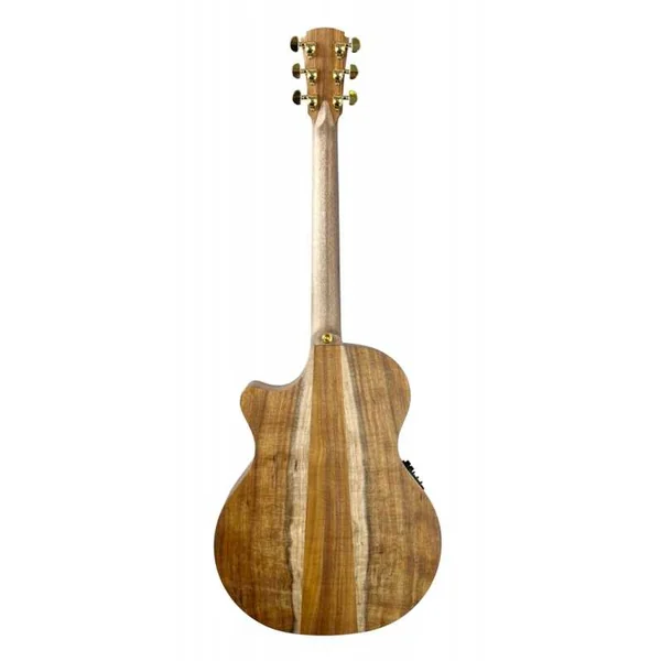 Guitare Folk Electro COLE CLARK TL2EC-BLBL-HH ETUI