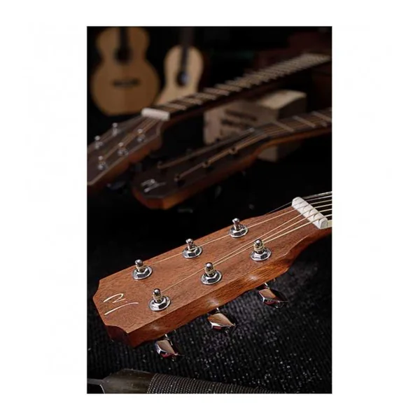 Guitare Folk Electro J.N. Guitars ASY-DCE DREAD CW-EPICEA