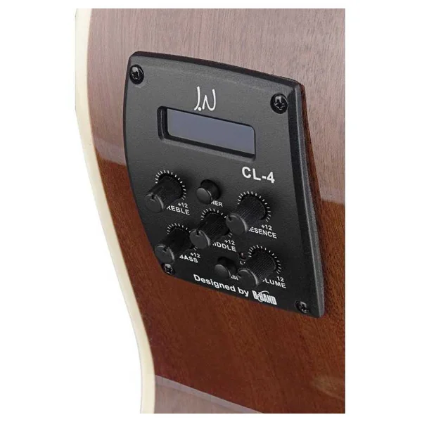 Guitare Folk Electro J.N. Guitars BES-ACE DCB AUDIT CW-EPICEA