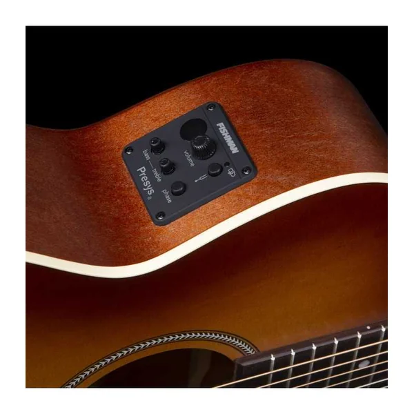 Guitare Folk Electro SEAGULL Entourage Rustic Burst CH CW EQ