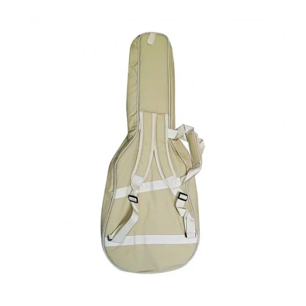 Guitare Weissenborn Gaucher GOLD TONE GT-WB/L