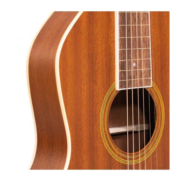 Guitare Weissenborn GOLD TONE GT-WB
