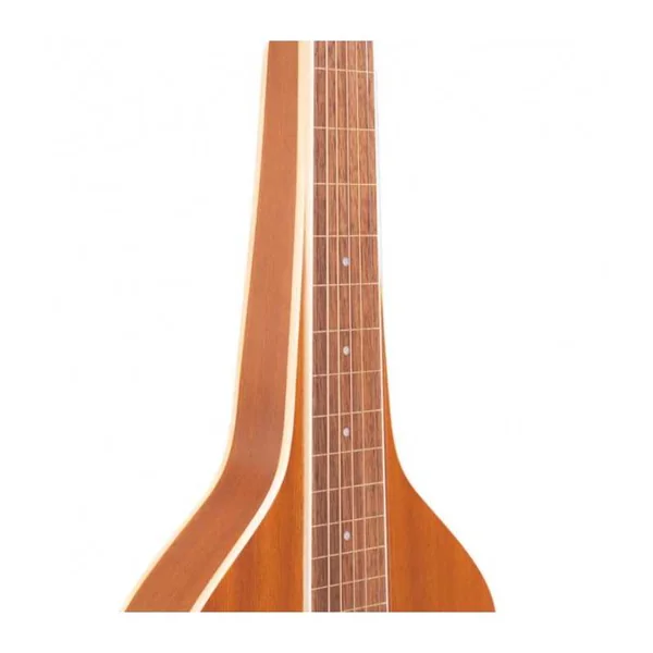 Guitare Weissenborn GOLD TONE GT-WB
