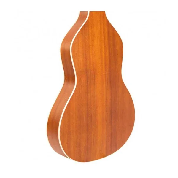 Guitare Weissenborn GOLD TONE GT-WB