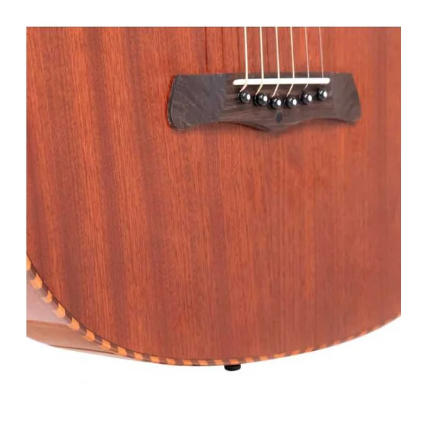 Guitare Weissenborn GOLD TONE SM+
