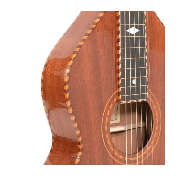 Guitare Weissenborn GOLD TONE SM+