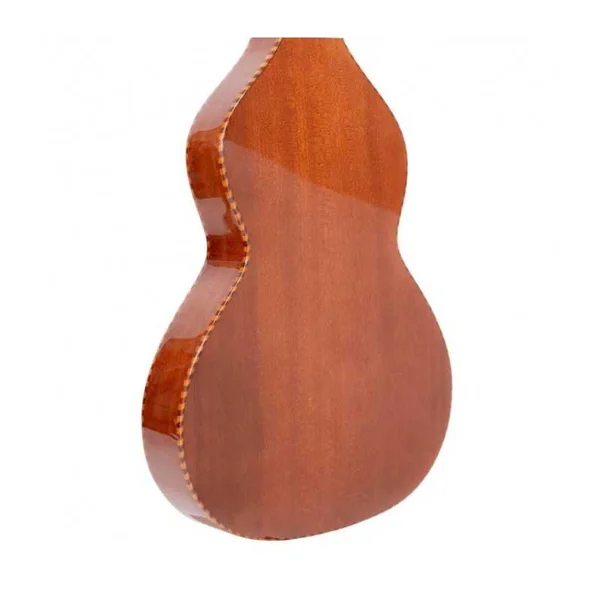 Guitare Weissenborn GOLD TONE SM+