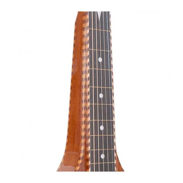 Guitare Weissenborn GOLD TONE SM+