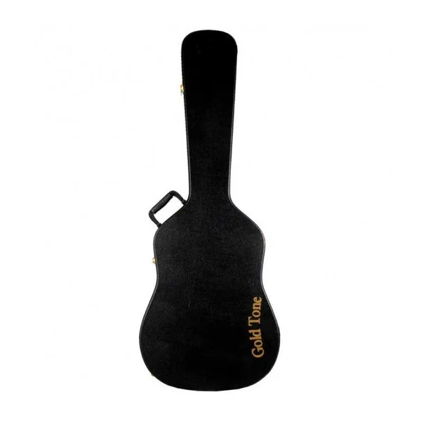 Guitare Weissenborn GOLD TONE SM+