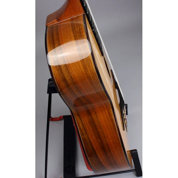Gypsy Jazz M20 +Case - natural