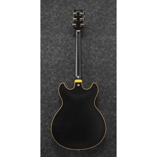 Ibanez JSM20-bkl black low gloss John Scofield + étui