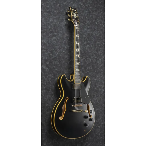Ibanez JSM20-bkl black low gloss John Scofield + étui