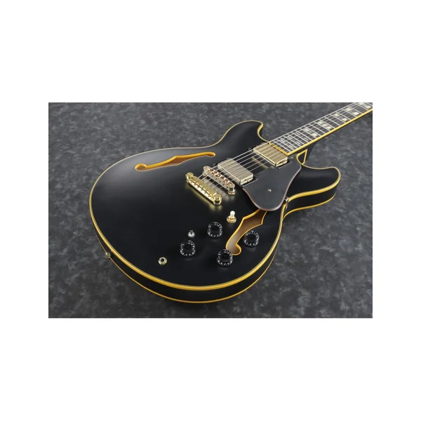Ibanez JSM20-bkl black low gloss John Scofield + étui