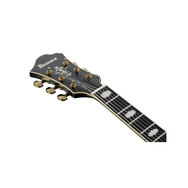 Ibanez PM3C-BKL Pat Metheny + étui