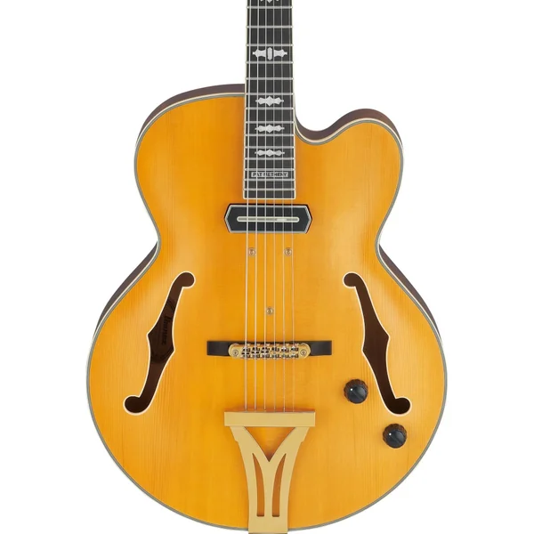 Ibanez PM3C-NAL Pat Metheny + étui