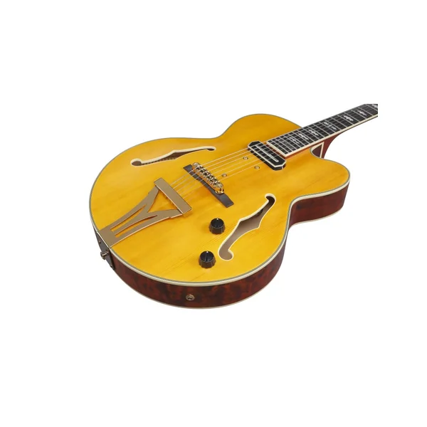 Ibanez PM3C-NAL Pat Metheny + étui