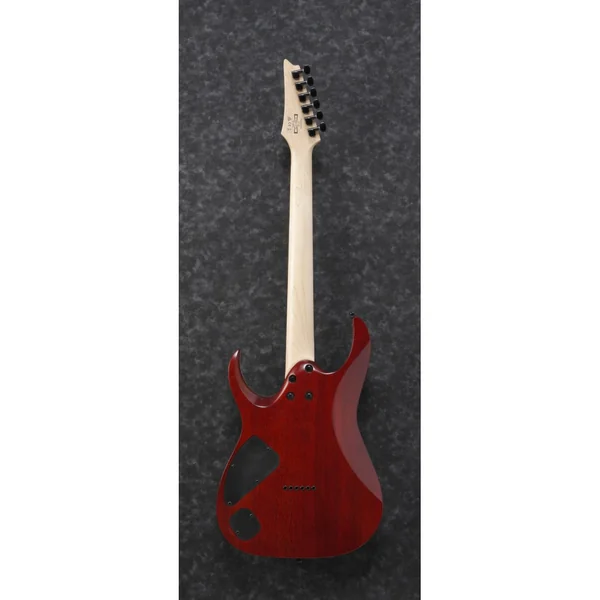 Ibanez RGA42-FM-TGF transparent gray flat