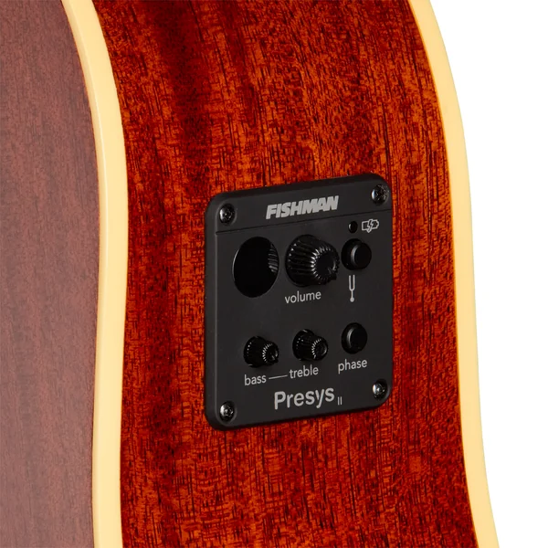 IBG J-45 Standard EC - honey burst