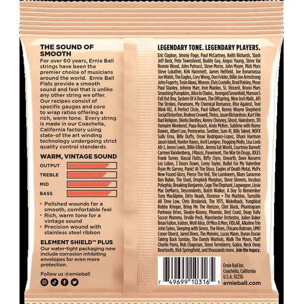 Jeu de Cordes pour Guitare Electrique Ernie Ball 2580 Flats light 11-50