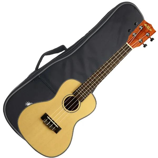 KA-SCG Concert +Bag - natural satin