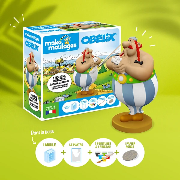 Kit moulage Obélix collector