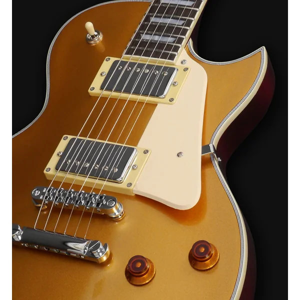 Larry Carlton L7 - gold top
