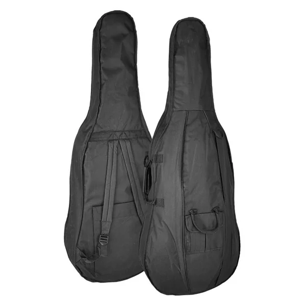 LC-2744-M series 4/4 avec housse et archet