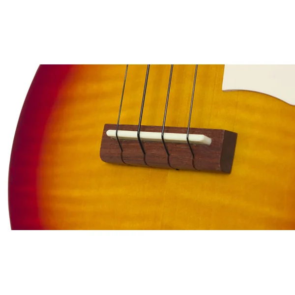 Les Paul Tenor Acoustic/Electric Ukulele + X-Tone Accessories