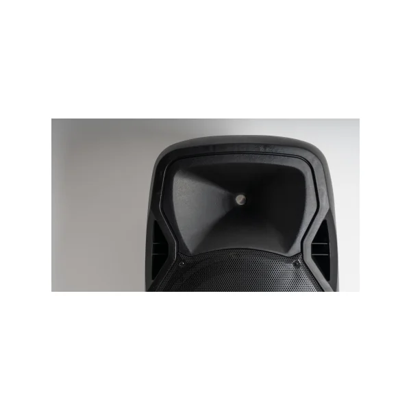 Malibu 215P Fonestar - Enceinte autonome batterie lithium USB SD bluetooth 15 pouce avec 1 micro sans fil + un serre tête