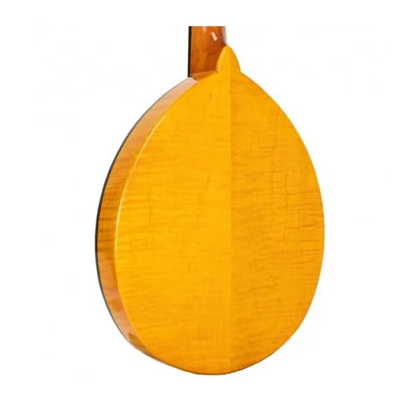 Mandoline Classique GOLD TONE GM-10 - TYPE FRYPAN + ETUI