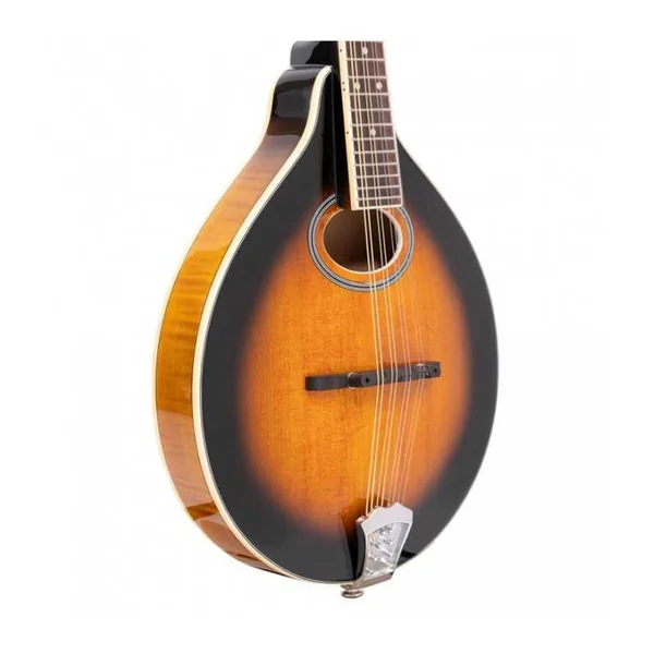 Mandoline Folk GOLD TONE GM-50+ - TYPE A +BAG