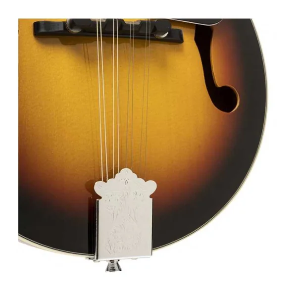 Mandoline Folk Stagg M20 S - EPICEA MASSIF -VIOLINBURST