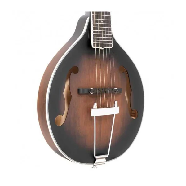 Mandoline Guitare GOLD TONE A-6 - Forme A