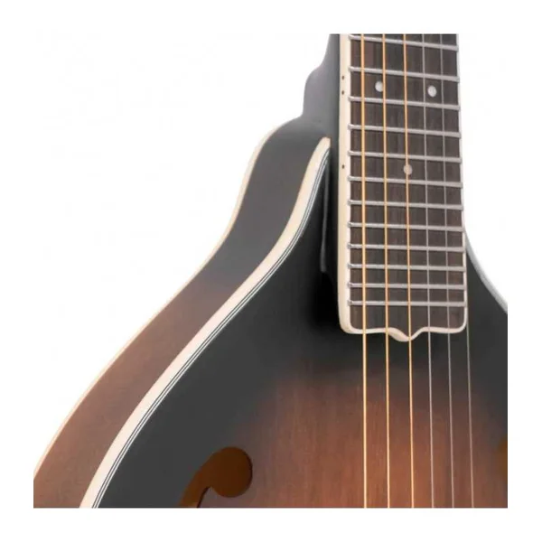 Mandoline Guitare GOLD TONE A-6 - Forme A