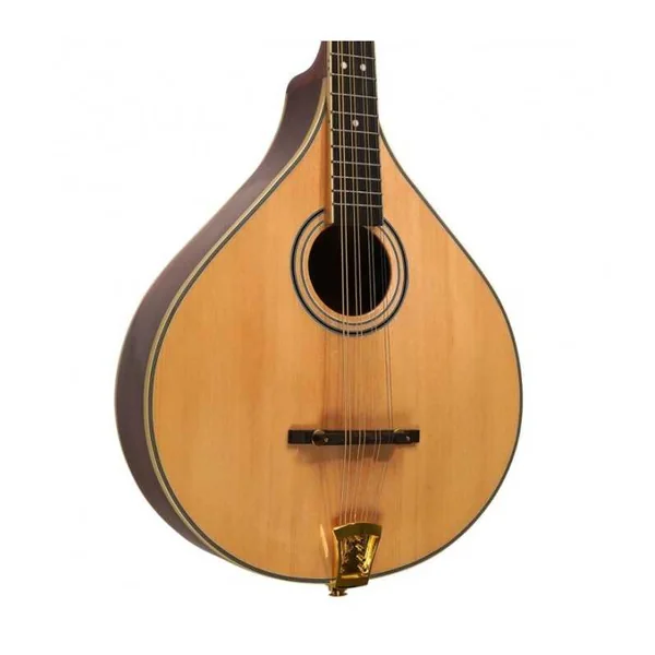 Mandoline Octave Electro GOLD TONE OM-800+