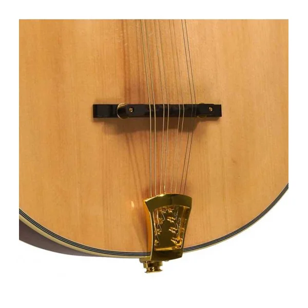 Mandoline Octave Electro GOLD TONE OM-800+