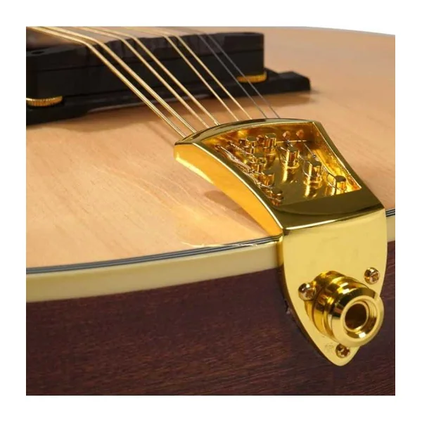 Mandoline Octave Electro GOLD TONE OM-800+