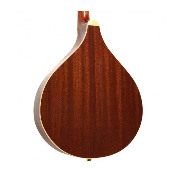 Mandoline Octave Electro GOLD TONE OM-800+