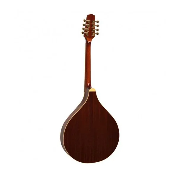 Mandoline Octave Electro GOLD TONE OM-800+
