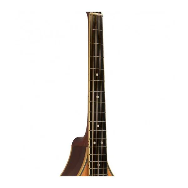 Mandoline Octave Electro GOLD TONE OM-800+