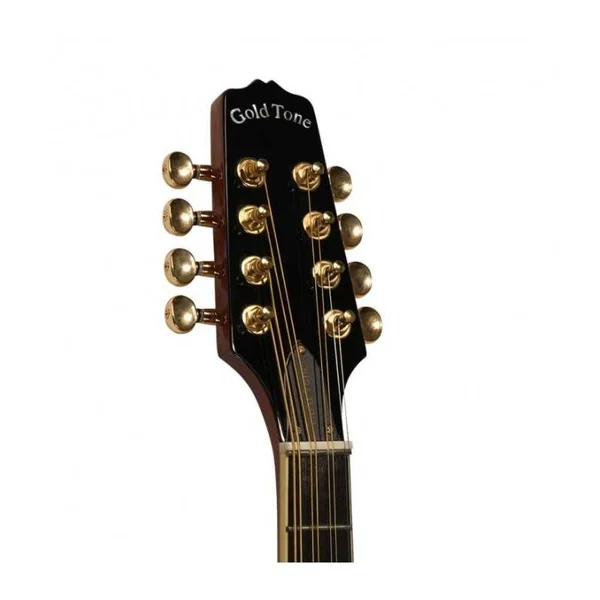 Mandoline Octave Electro GOLD TONE OM-800+