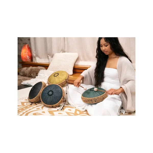 Meinl Sonic Energy medium octave steel tongue drum B minor 432hz + housse