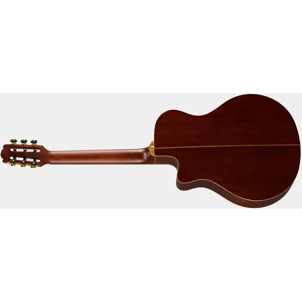 NTX3 - brown sunburst