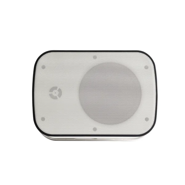 ONDE 660W Audiophony - enceinte murale IP65 6.5p 60W sous 8 ohms et 40W en 100V