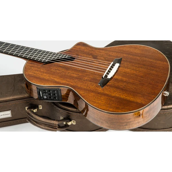 Performer MSCC-14OV +Case - natural