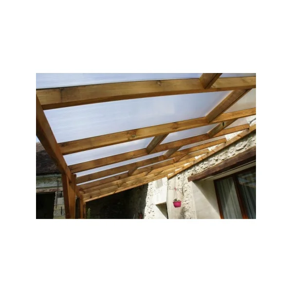 Pergola 300x920 cm adossée Pin autoclave avec toit en polycarbonate Tonnelle adossée Couverture de toit bois massif
