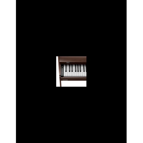 Piano Numérique Donner OURA R300 Brown