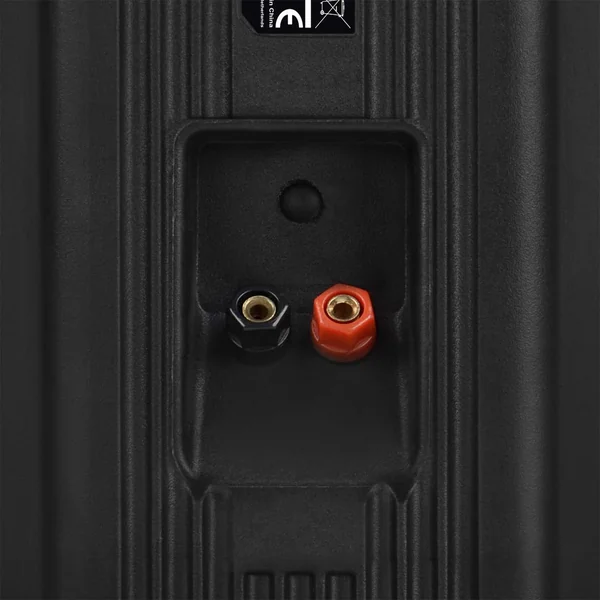 Power Dynamics BGB50 - Enceintes Bluetooth, 2 Voies, 100 Watts, 5,25" - Noir